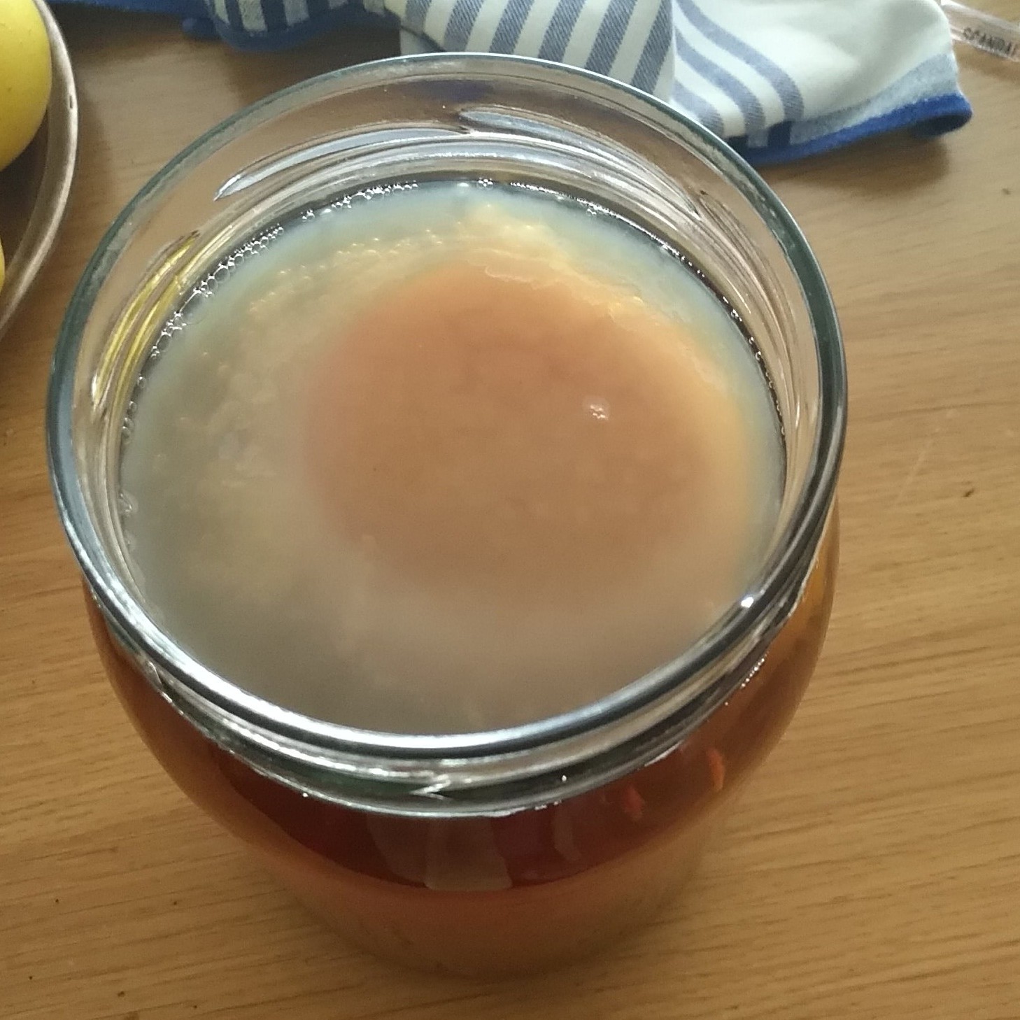 fermentaciones-caseras-kombucha