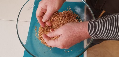 como-hacer-shio-koji-receta-3