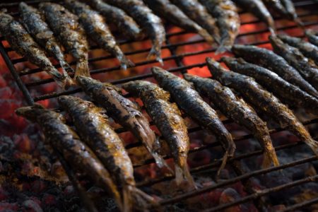 las-sardinas