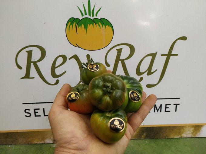 capa Retener trampa Tomates delicia Rey Raf 5 Coronas - Gaudaru