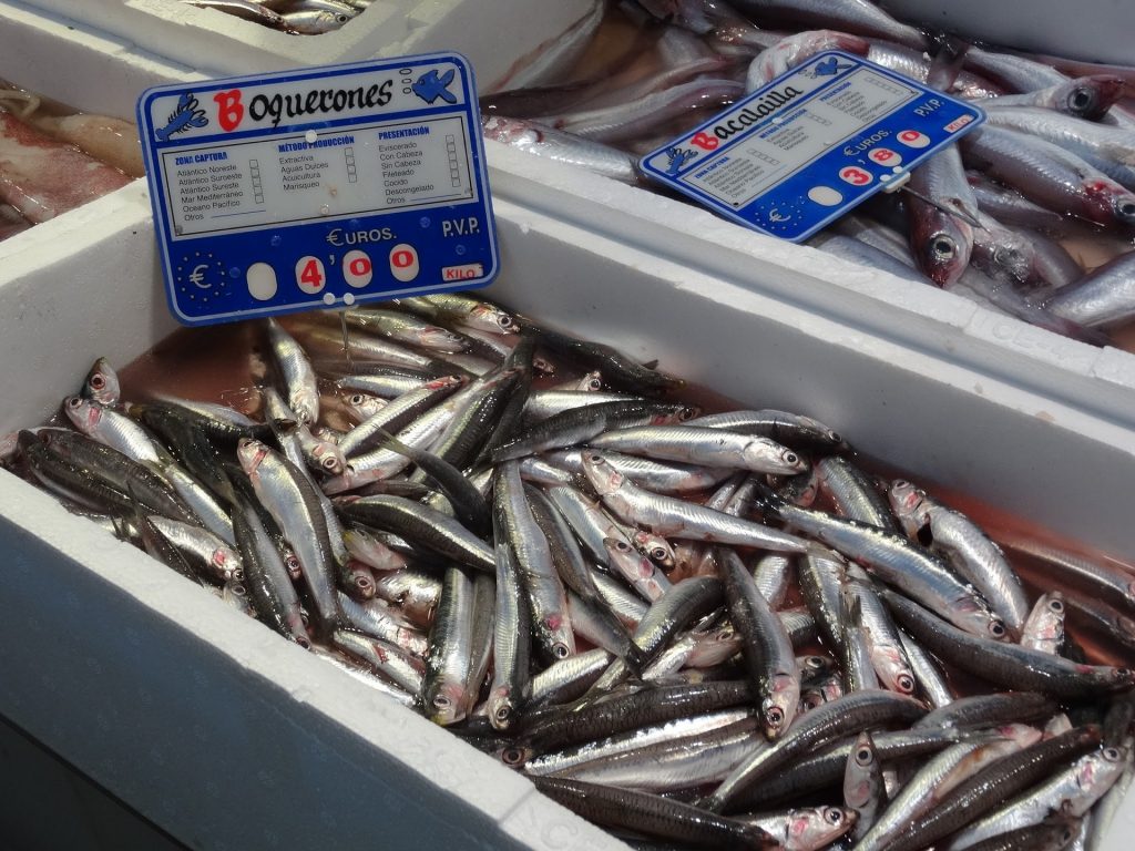 Boquerones o bocartes