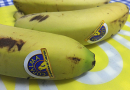 Oda al plátano de Canarias