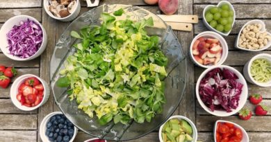 Qué es la dieta paleolítica Qué es la dieta paleolítica